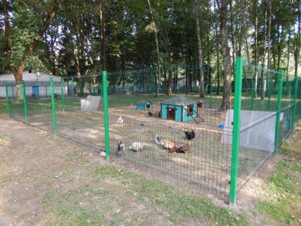 У луцькому зоопарку побільшало пернатих. ФОТО