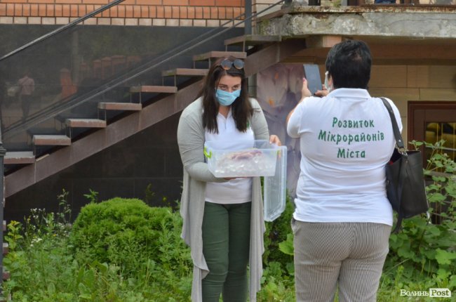 Бандероль із язиком корови для Медведчука: у Луцьку активісти влаштували мітинг на захист мови 