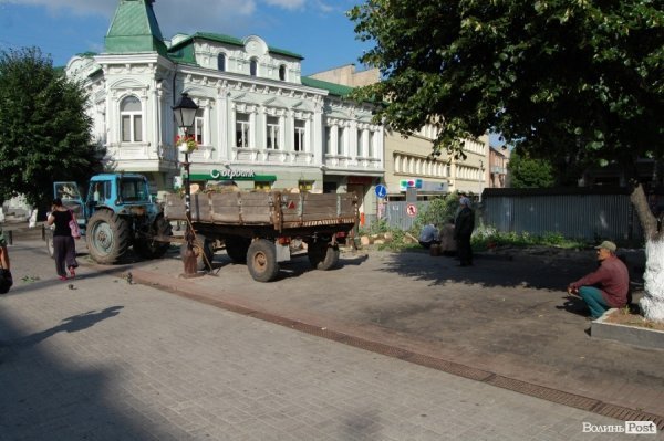 Центр Луцька звільняють від дерев. ФОТО