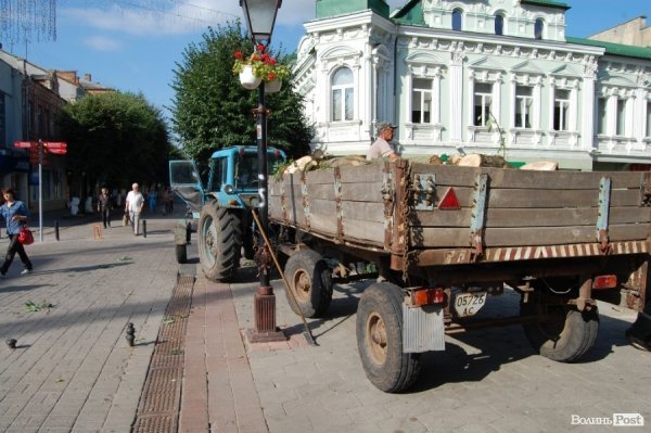 Центр Луцька звільняють від дерев. ФОТО