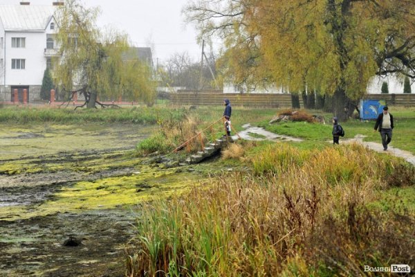 Як чистять ставки в Теремно. ФОТО