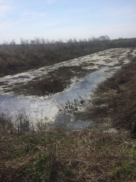 Сморід у Луцьку і навколишніх селах: комунальники обіцяють посилити роботу 