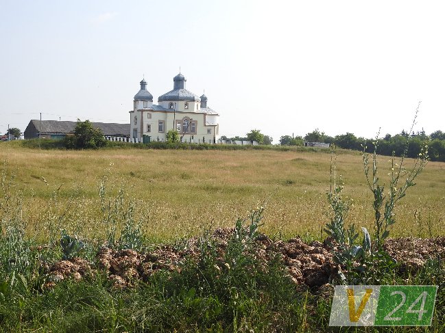 Волинське село засмерділося гнилою капустою. ФОТО