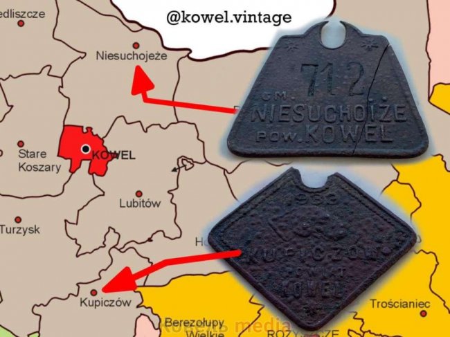 Показали, якими на Волині були собачі жетони у 30-х роках минулого століття. ФОТО 