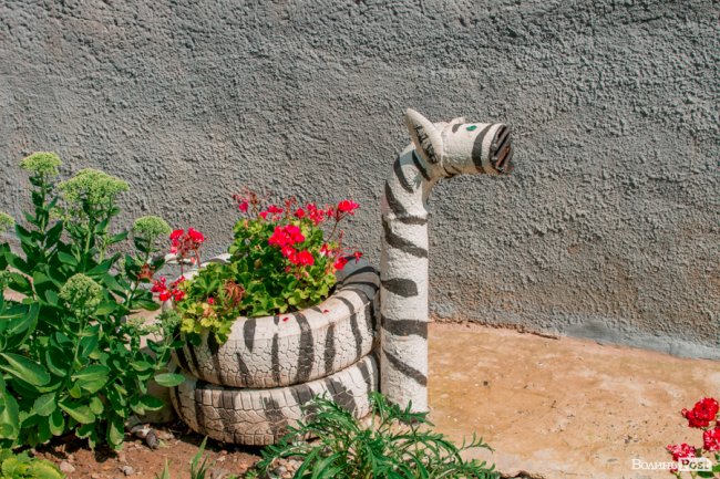 Там, де розвертаються тролейбуси: як живе 40-ий мікрорайон Луцька