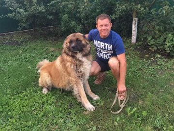 В Ізраїлі помер волинянин: на перевезення тіла додому потрібні кошти