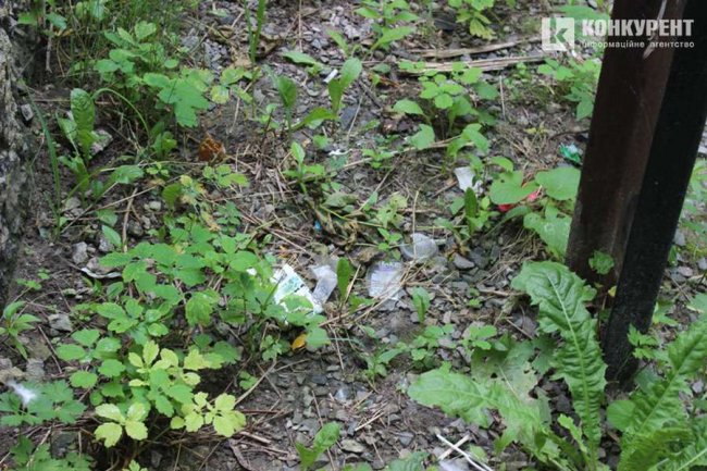 Лучани знову засмітили місце, де нещодавно проводили загальноміську толоку. ФОТО