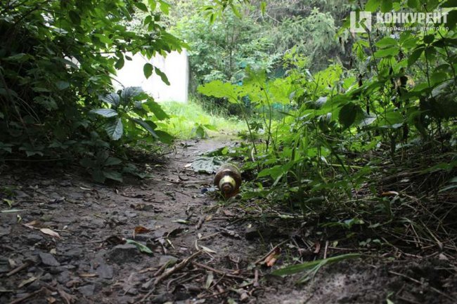 Лучани знову засмітили місце, де нещодавно проводили загальноміську толоку. ФОТО
