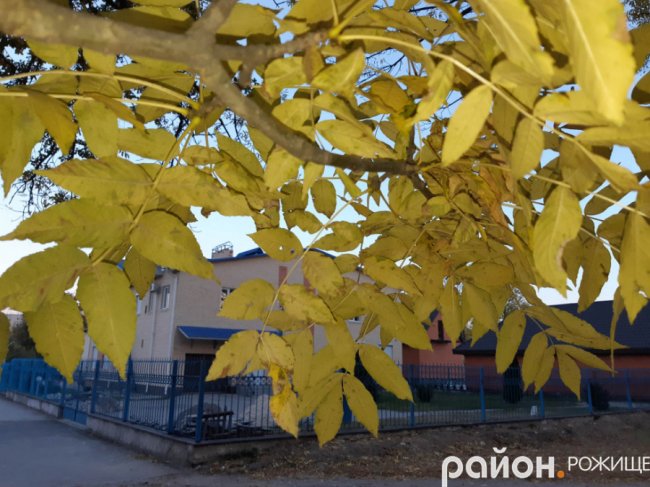 Місто на Волині восени: жовто-багряна краса. ФОТО