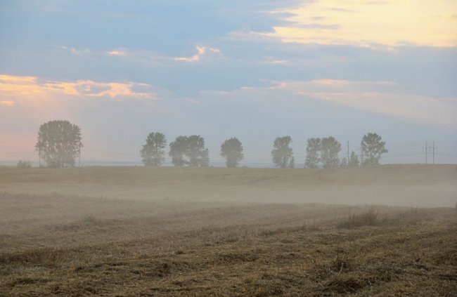 Мальовнича та неповторна природа волинського села. ФОТО