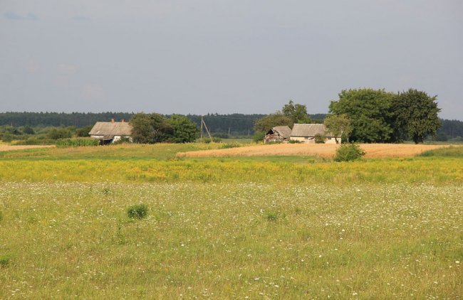 Мальовнича та неповторна природа волинського села. ФОТО