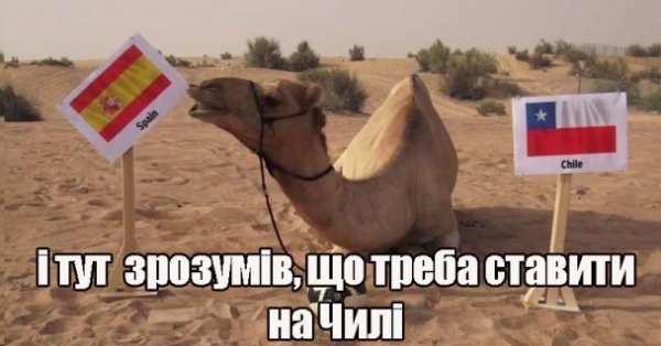 Виліт Іспанії: реакція інтернету в фотожабах