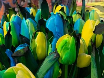 Добрі новини від ВолиньPost за 13 травня