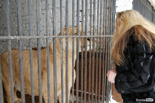 Як гріються тварини у Луцькому зоопарку. ФОТО
