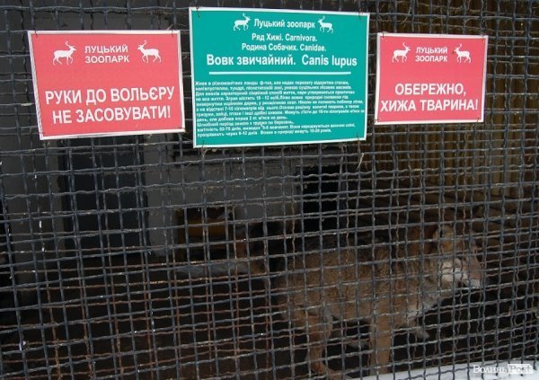 Як гріються тварини у Луцькому зоопарку. ФОТО