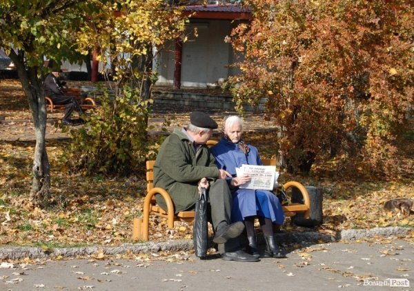 Ковель буденний. ФОТО