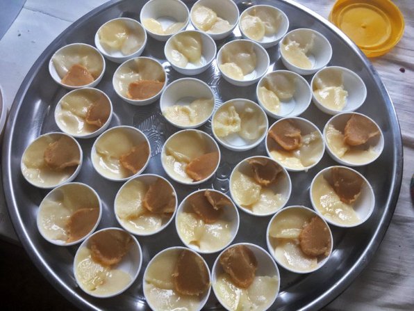 Як у часи Київської Русі: під Луцьком відродили древнє бортництво