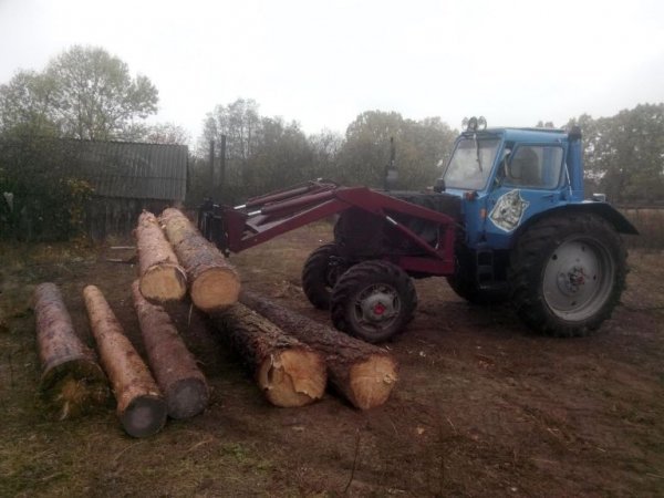 У лісових злодіїв на Волині вилучили ще бурштин і набої. ФОТО