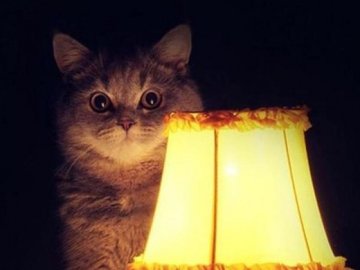 Де у Луцьку не буде світла 15 травня