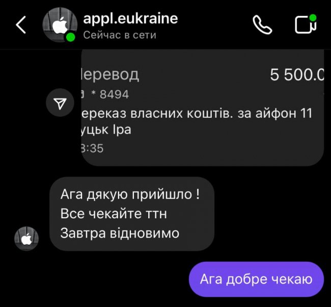 Купувала 11 Iphone: 20-річну лучанку в Instagram «розвели» на 11 тисяч