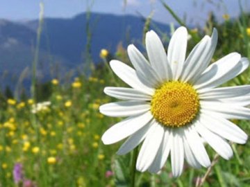 Погода у Луцьку та Волинській області на завтра, 19 липня