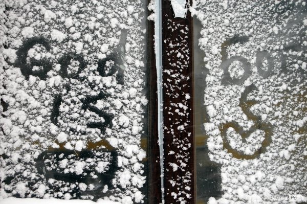Як Луцьк замело снігом. ФОТО