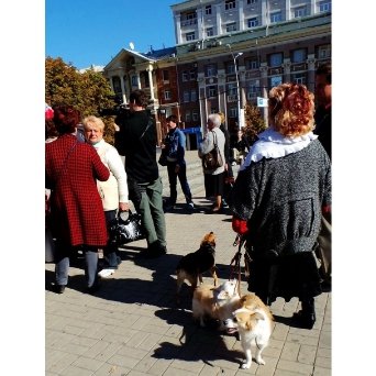 У Донецьку мітинг проти ДНР. ФОТО