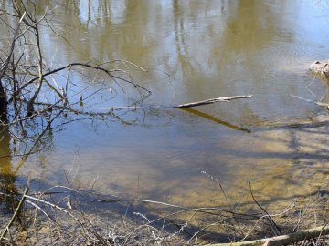 У Луцьку Стир почистять за 10 мільйонів гривень