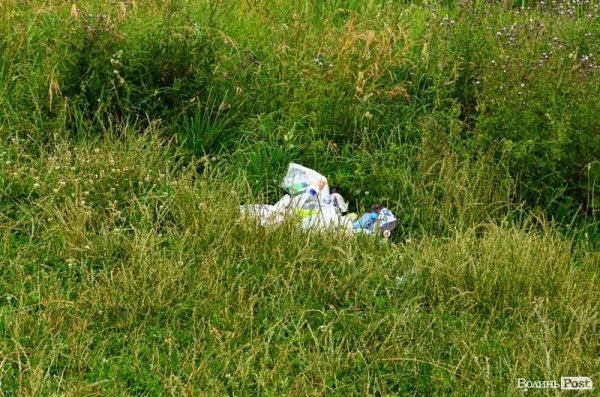 Відпочинок під Луцьком. Боголюби. ФОТО