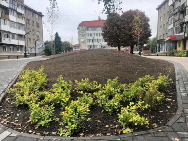У Луцьку озеленюють новий сквер на проспекті Волі. ФОТО