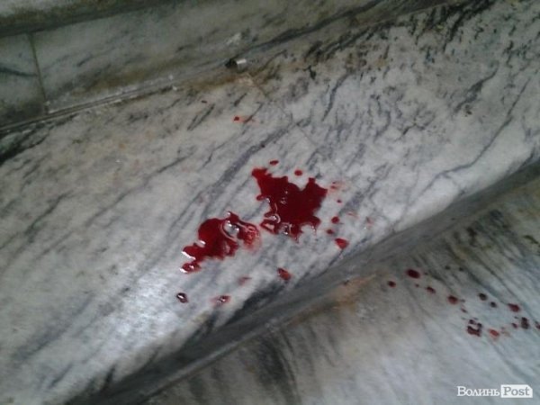 Протест 19 лютого у Волинській облраді: рік тому