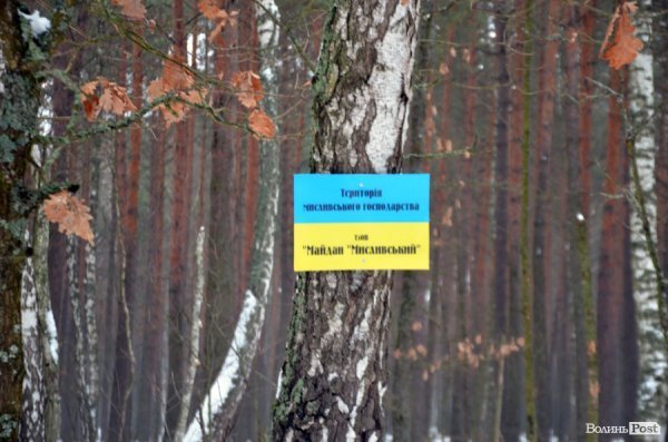 Як у «Цуманській пущі» рахували зубрів 