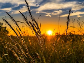 Синоптик розповіла, якою буде погода у найближчі дні 