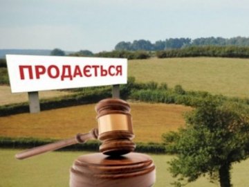 У місті на Волині продали земельну ділянку для бізнесу за 3 мільйони