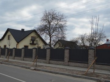 У волинському місті висадили понад пів сотні саджанців сакури