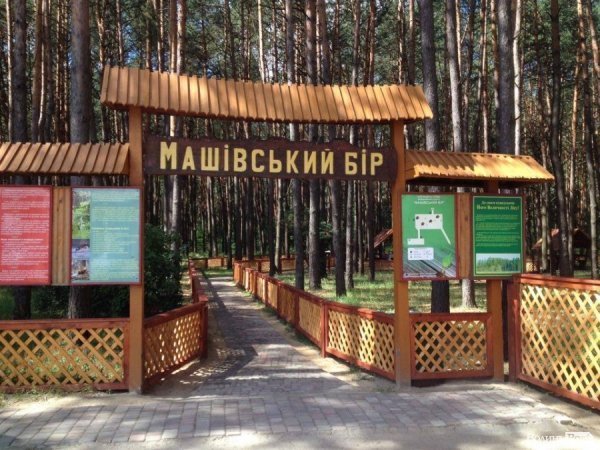 Рекреаційні пункти Волині - природа, затишок та економний відпочинок. ФОТО