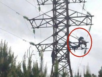16-річний хлопець, який загинув від удару струмом на Волині, ліз на електроопору зі знайомими