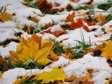 Погода у Луцьку на завтра, 25 листопада