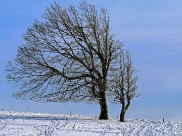 Волинян попереджають про погіршення погодніх умов