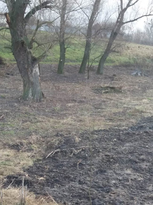 Жителі села під Луцьком розчистили берег річки. ФОТО