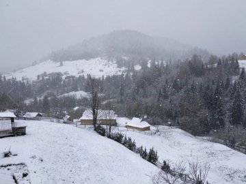 Карпати засипає снігом