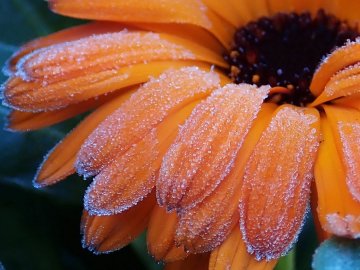 Українців попереджають про заморозки у найближчі дні