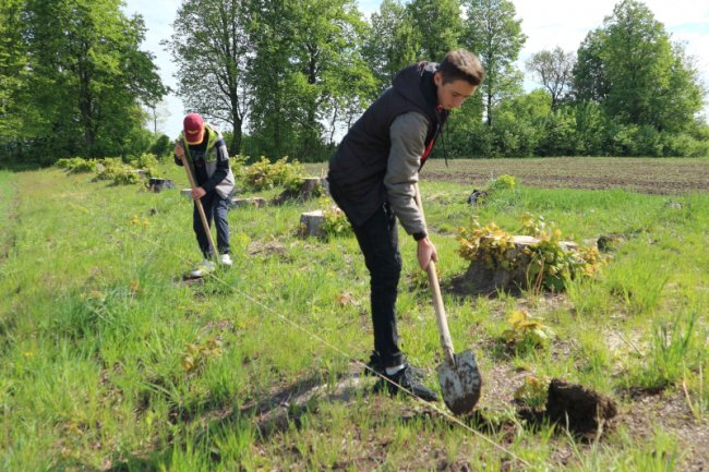 У громаді поблизу Луцька випускники заклали біля школи сад з екзотичних дерев. ФОТО