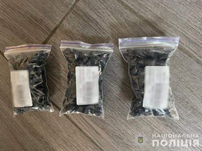 Збував психотропи на Волині та Львівщині: волинські поліцейські затримали наркоділка