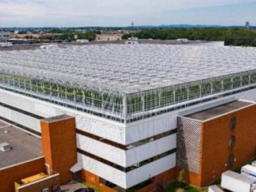 В Канаді збудували найбільшу в світі теплицю на даху