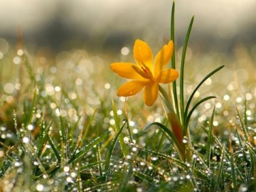 Погода в Луцьку та Волинській області на завтра, 12 квітня