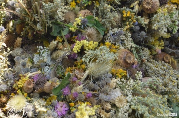 Як у Луцьку віряни відзначали свято Маковія. ФОТО