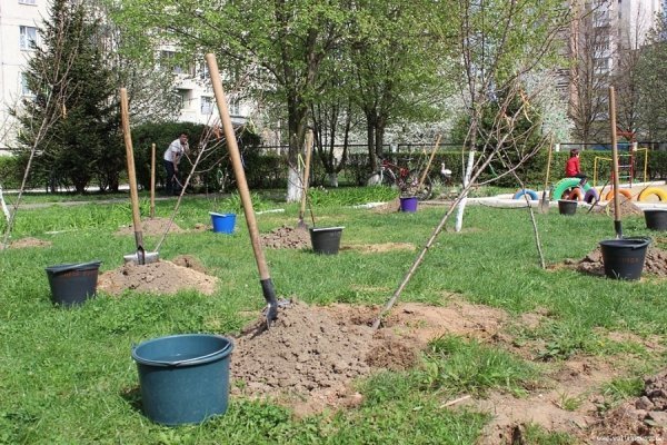 Луцькі  депутати з дітьми садили дерева. ФОТО