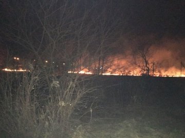 «Дика практика»: волинян попереджають про небезпеку спалювання трави