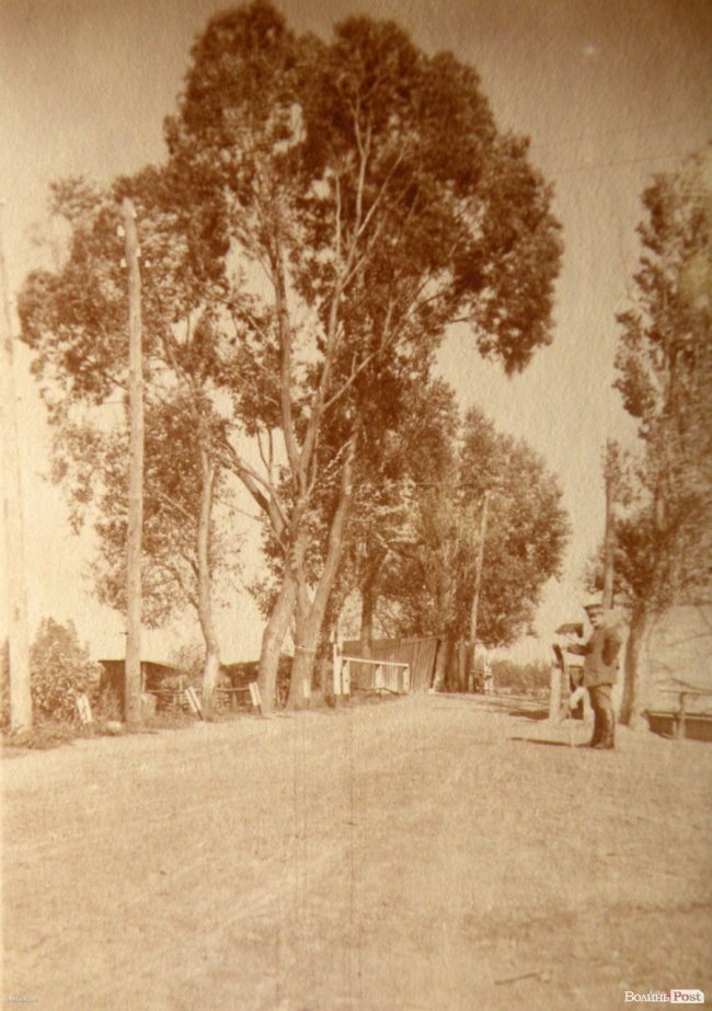 Волинське село на світлинах сторічної давності. РЕТРОФОТО